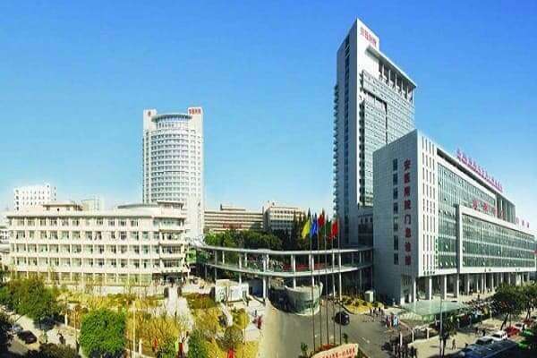 Anhui-Medical-University